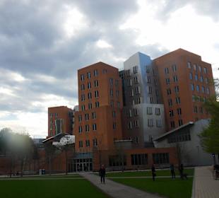 Campus MIT