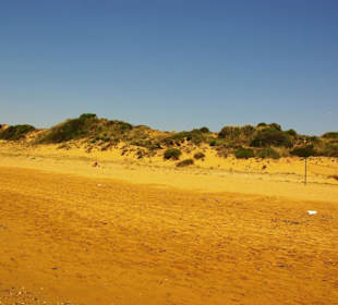 Strandbereich Gündogdu noch der Beste