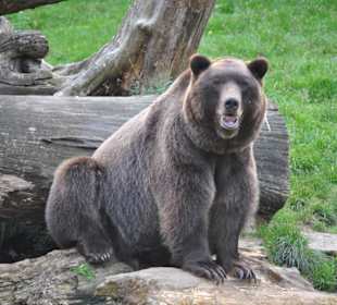 Tierpark Olderdissen