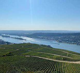 Wandern Rüdesheim am Rhein