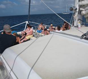 Sonnenbaden/Katamaran - Barbados