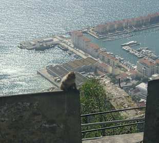 Blick vom Affenfelsen (Gibraltar)