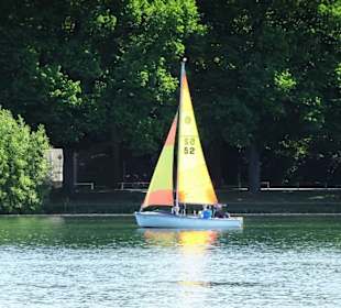 Segler auf dem Maschsee