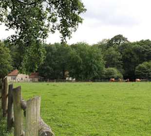Der Bauernhof im Park