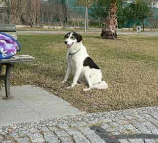 Sehr schöner Boulevard