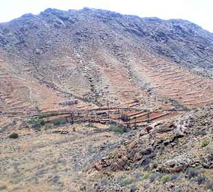 Inselrundfahrt Tagestour