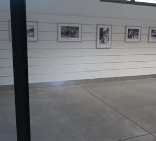 Haupt- und Landgestüt Marbach