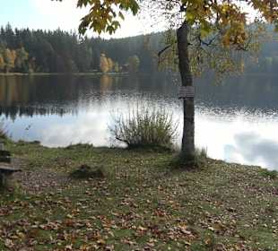Windgfällweiher