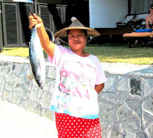 ... oder darf es ein Thunfisch sein ?