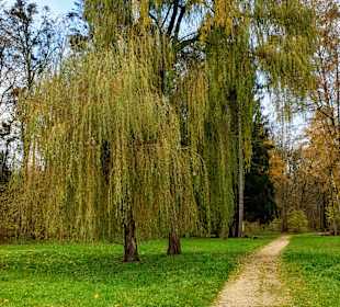 Kurpark