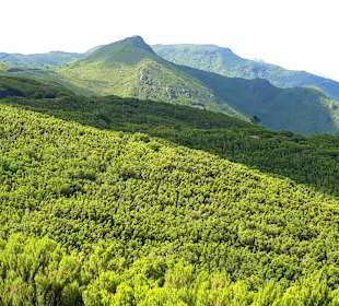 Hochebene Paul da Serra