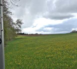 Premiumwanderweg Hochgebürzelt