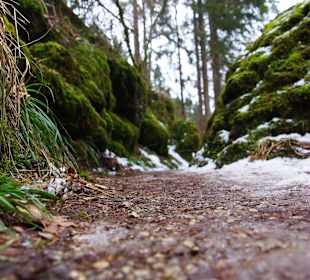 Wanderung nach Pottenstein