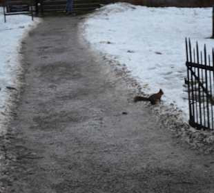 Freilichtmuseum Skansen