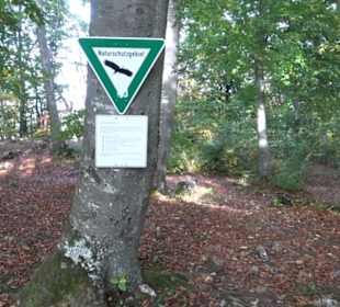Wanderung Felsen Sankt Johann