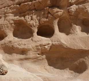 W czasie wędrówki można zobaczyć takie widoki