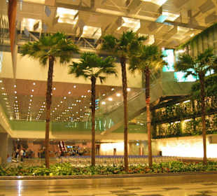 Eingangshalle Changi Airport