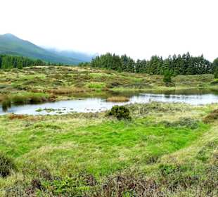 Inselrundfahrt Terceira