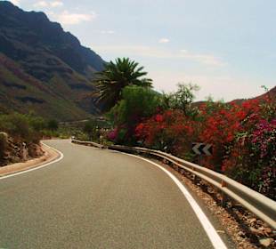 Bei einem Ausflug mit dem Auto