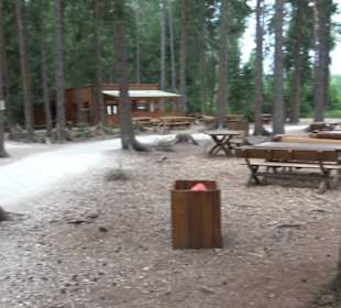 Dinosaurier Museum Altmühltal