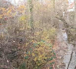 Fluss Breitenbach