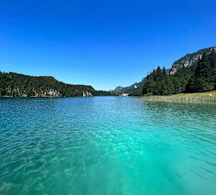 Alpsee