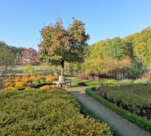Herbststimmung im Dorfgarten Dötlingen