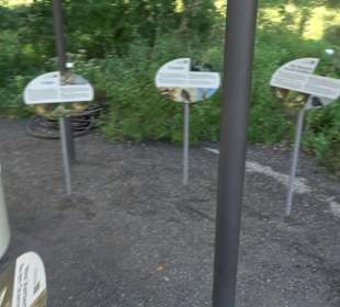 Botanischer Garten München