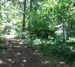 Premiumwanderweg "hochgelegen"