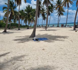 Isla Saona