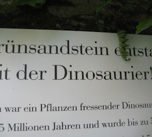 Infotafel zum Dinosaurier im Hof