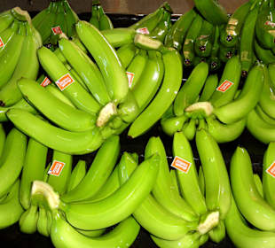 Noch feuchte Bananen mit Aufkleber