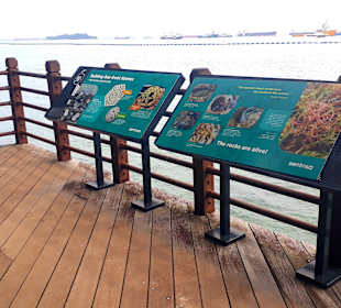 Ausblick Aussichtsturm