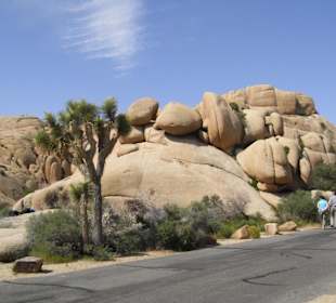 Joshua Tree National Park