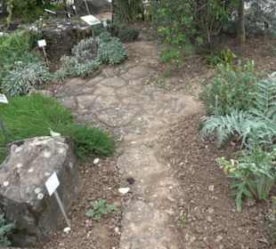 Apothekergarten
