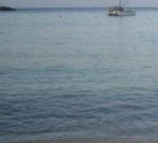 Meer