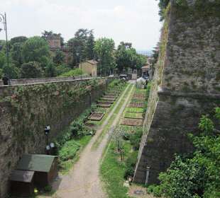 Die alte Festungsmauer