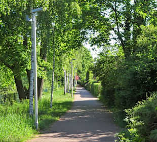 Auf dem Jan-Reiners-Weg in Lilienthal