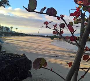 Playa Flamingo