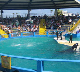 Miami Seaquarium