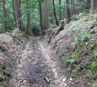 Wanderweg - Alter Steinbruch Pfaffenberg Runde