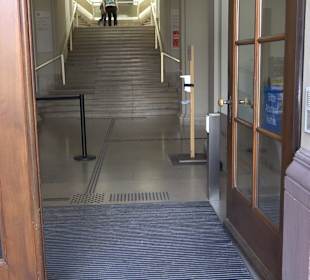 Staatliches Naturkunde Museum