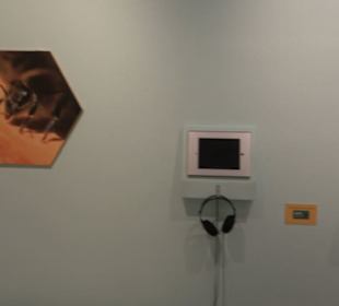 Museum für Naturkunde