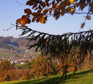 Wandern Winden im Elztal