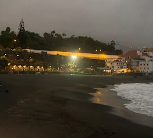 Playa Jardín