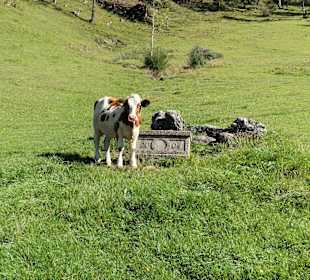 Ottenalm