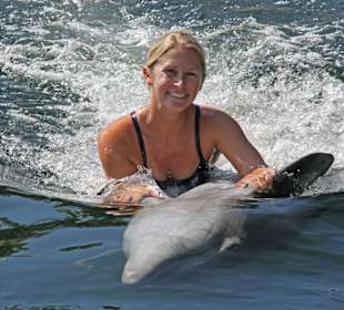 Schwimmen mit einem Delphin