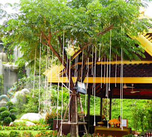 Eine schön gepflegte Parkanlage