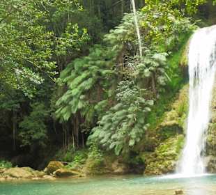 Der kleine Wasserfall