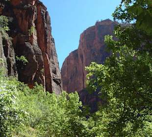 Parco nazionale Zion